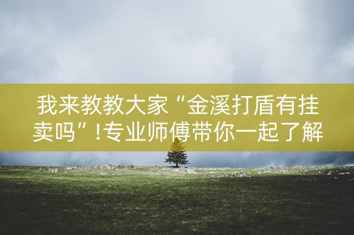 我来教教大家“金溪打盾有挂卖吗”!专业师傅带你一起了解（详细教程）-抖音
