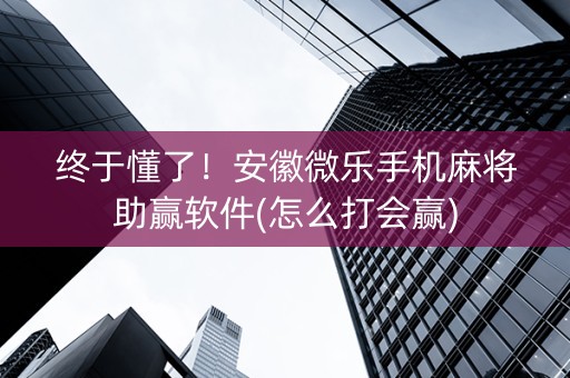 终于懂了！安徽微乐手机麻将助赢软件(怎么打会赢)