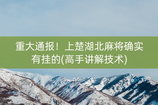 重大通报！上楚湖北麻将确实有挂的(高手讲解技术)