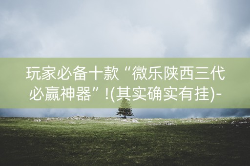 玩家必备十款“微乐陕西三代必赢神器”!(其实确实有挂)-抖音