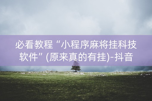 必看教程“小程序麻将挂科技软件”(原来真的有挂)-抖音