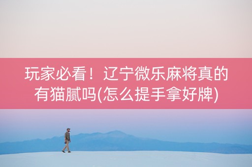 玩家必看！辽宁微乐麻将真的有猫腻吗(怎么提手拿好牌)