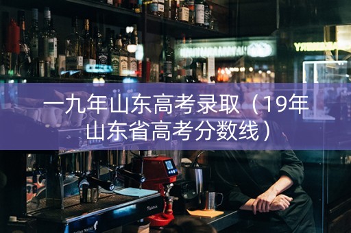 一九年山东高考录取（19年山东省高考分数线）