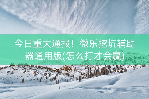 今日重大通报！微乐挖坑辅助器通用版(怎么打才会赢)