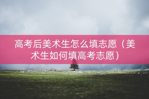高考后美术生怎么填志愿（美术生如何填高考志愿）