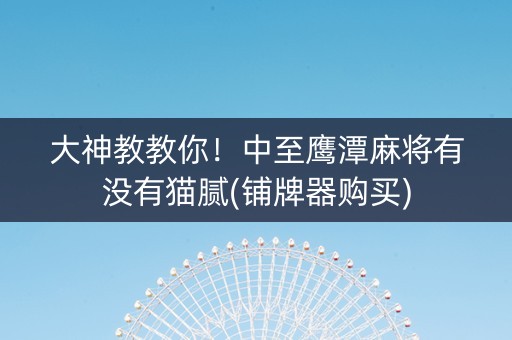 大神教教你！中至鹰潭麻将有没有猫腻(铺牌器购买)