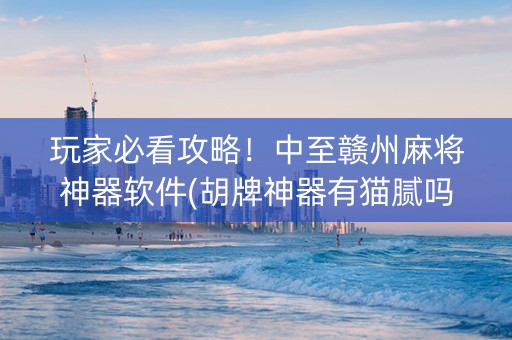 玩家必看攻略！中至赣州麻将神器软件(胡牌神器有猫腻吗)