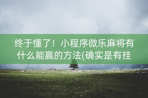 终于懂了！小程序微乐麻将有什么能赢的方法(确实是有挂)