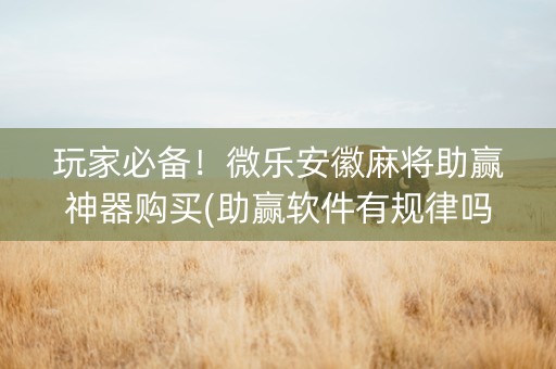 玩家必备！微乐安徽麻将助赢神器购买(助赢软件有规律吗)