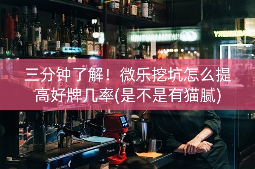 三分钟了解！微乐挖坑怎么提高好牌几率(是不是有猫腻)