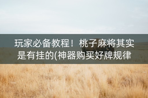 玩家必备教程！桃子麻将其实是有挂的(神器购买好牌规律)
