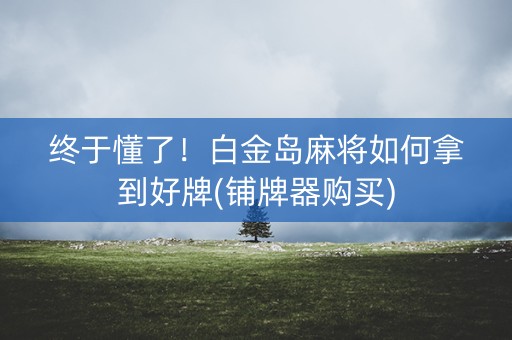 终于懂了！白金岛麻将如何拿到好牌(铺牌器购买)
