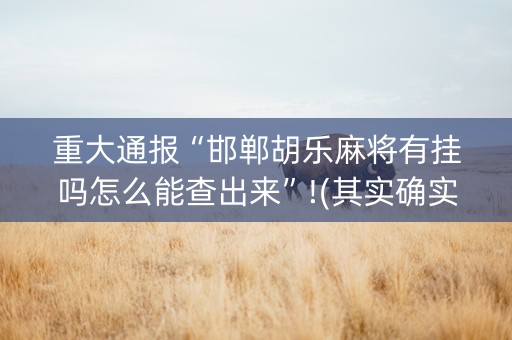 重大通报“邯郸胡乐麻将有挂吗怎么能查出来”!(其实确实有挂)-抖音