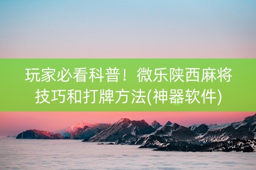 玩家必看科普！微乐陕西麻将技巧和打牌方法(神器软件)