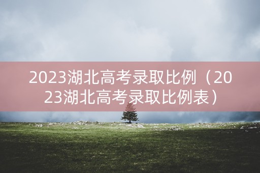 2023湖北高考录取比例（2023湖北高考录取比例表）