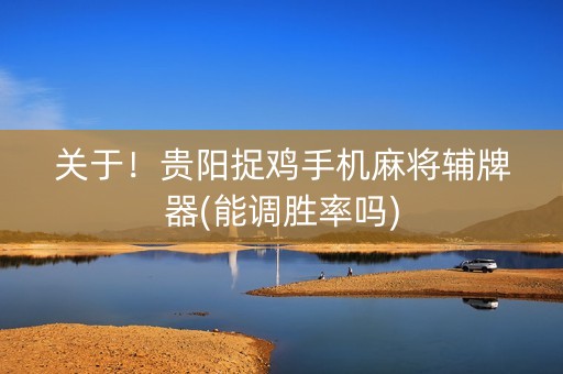 关于！贵阳捉鸡手机麻将辅牌器(能调胜率吗)