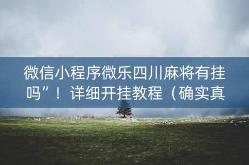 微信小程序微乐四川麻将有挂吗”！详细开挂教程（确实真的有挂)-抖音