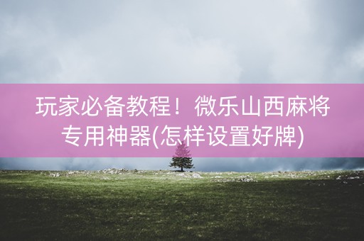 玩家必备教程！微乐山西麻将专用神器(怎样设置好牌)