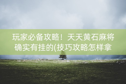 玩家必备攻略！天天黄石麻将确实有挂的(技巧攻略怎样拿好牌)
