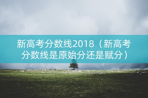新高考分数线2018（新高考分数线是原始分还是赋分）
