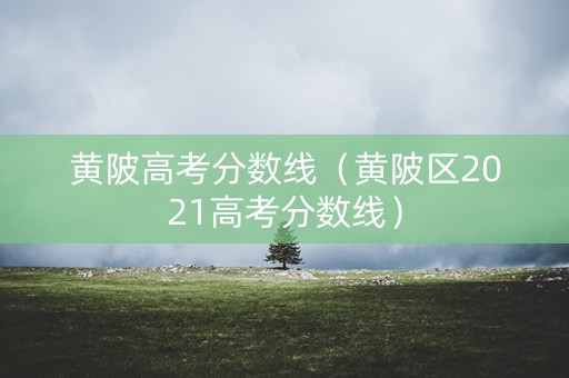 黄陂高考分数线（黄陂区2021高考分数线）