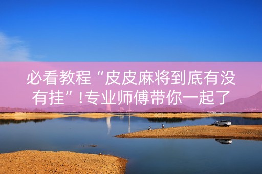 必看教程“皮皮麻将到底有没有挂”!专业师傅带你一起了解（详细教程）-抖音