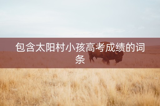 包含太阳村小孩高考成绩的词条