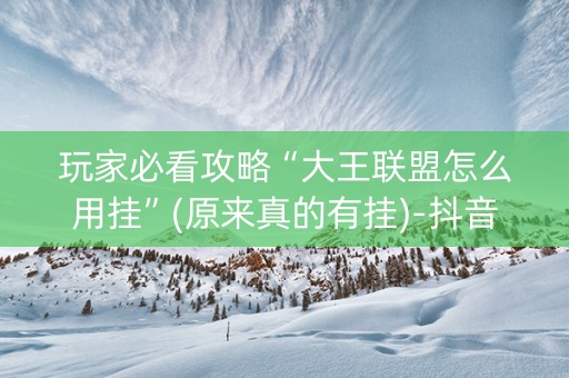 玩家必看攻略“大王联盟怎么用挂”(原来真的有挂)-抖音