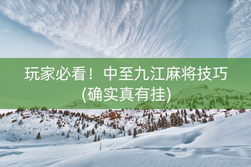 玩家必看！中至九江麻将技巧(确实真有挂)