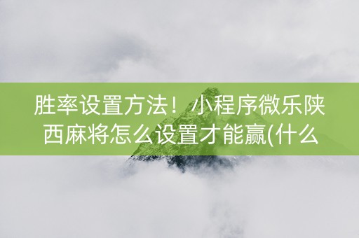 胜率设置方法！小程序微乐陕西麻将怎么设置才能赢(什么软件可以赢)
