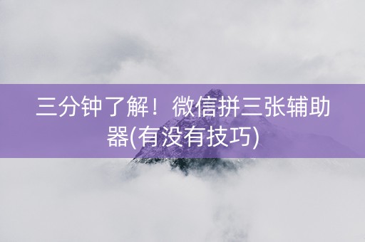 三分钟了解！微信拼三张辅助器(有没有技巧)