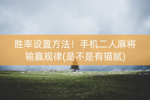 胜率设置方法！手机二人麻将输赢规律(是不是有猫腻)