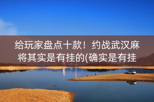 给玩家盘点十款！约战武汉麻将其实是有挂的(确实是有挂的)