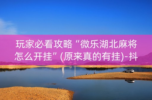 玩家必看攻略“微乐湖北麻将怎么开挂”(原来真的有挂)-抖音