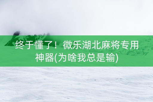 终于懂了！微乐湖北麻将专用神器(为啥我总是输)