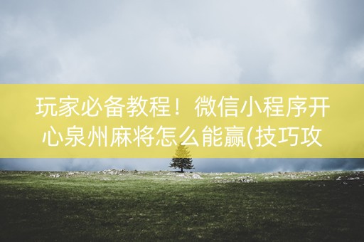 玩家必备教程！微信小程序开心泉州麻将怎么能赢(技巧攻略怎样拿好牌)