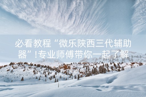 必看教程“微乐陕西三代辅助器”!专业师傅带你一起了解（详细教程）-抖音