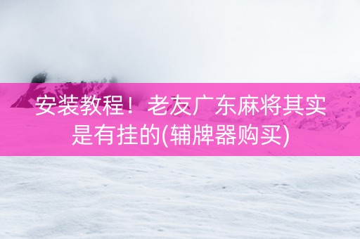 安装教程！老友广东麻将其实是有挂的(辅牌器购买)
