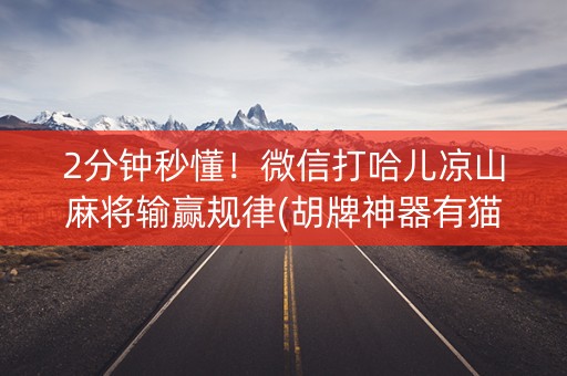 2分钟秒懂！微信打哈儿凉山麻将输赢规律(胡牌神器有猫腻吗)
