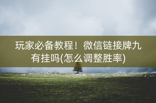 玩家必备教程！微信链接牌九有挂吗(怎么调整胜率)