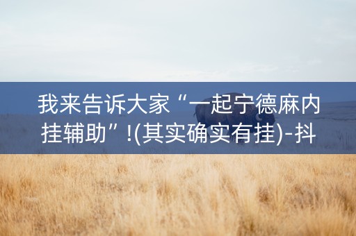 我来告诉大家“一起宁德麻内挂辅助”!(其实确实有挂)-抖音