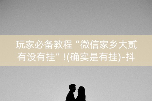 玩家必备教程“微信家乡大贰有没有挂”!(确实是有挂)-抖音
