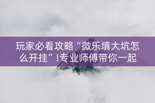 玩家必看攻略“微乐填大坑怎么开挂”!专业师傅带你一起了解（详细教程）-抖音