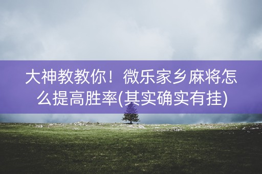 大神教教你！微乐家乡麻将怎么提高胜率(其实确实有挂)
