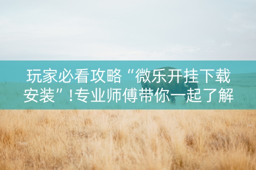 玩家必看攻略“微乐开挂下载安装”!专业师傅带你一起了解（详细教程）-抖音