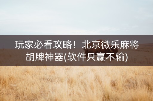 玩家必看攻略！北京微乐麻将胡牌神器(软件只赢不输)