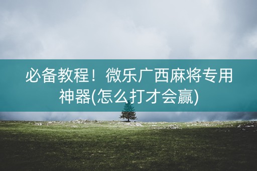 必备教程！微乐广西麻将专用神器(怎么打才会赢)