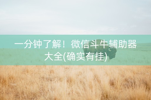 一分钟了解！微信斗牛辅助器大全(确实有挂)