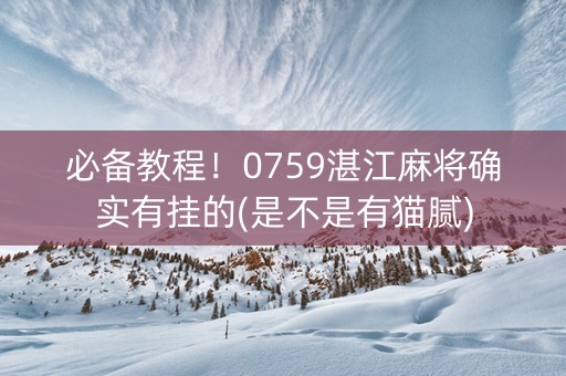 必备教程！0759湛江麻将确实有挂的(是不是有猫腻)