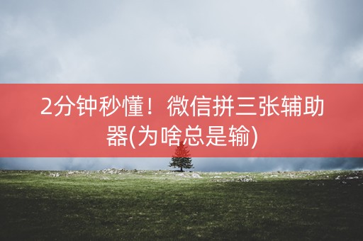 2分钟秒懂！微信拼三张辅助器(为啥总是输)